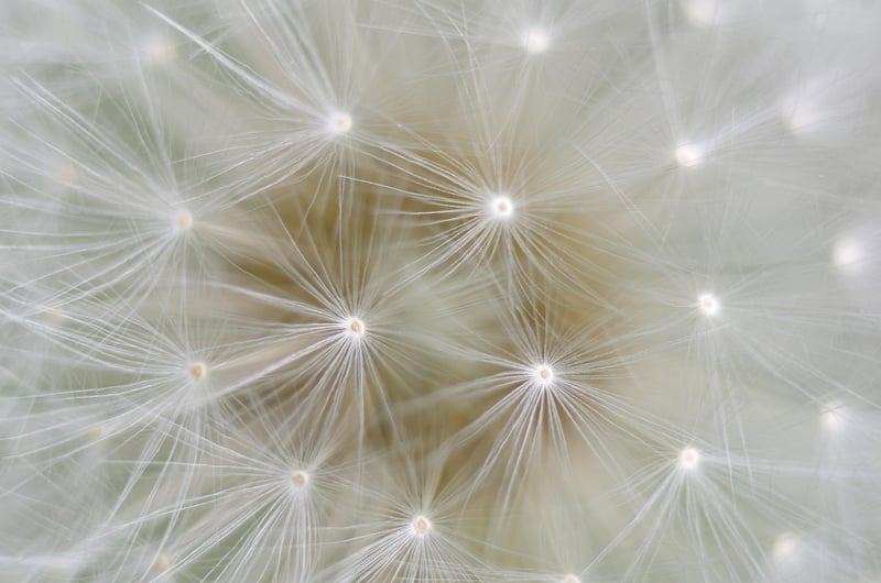 Declutter and Simplify